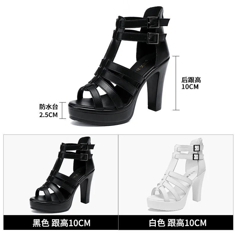 Gladiator sepatu wanita untuk  - Women'S Shoes Quality ulasan dan harga